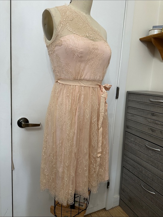 Va wt vien Dresses & Skirts - One-Shoulder Lace A-Line Dress in Blush